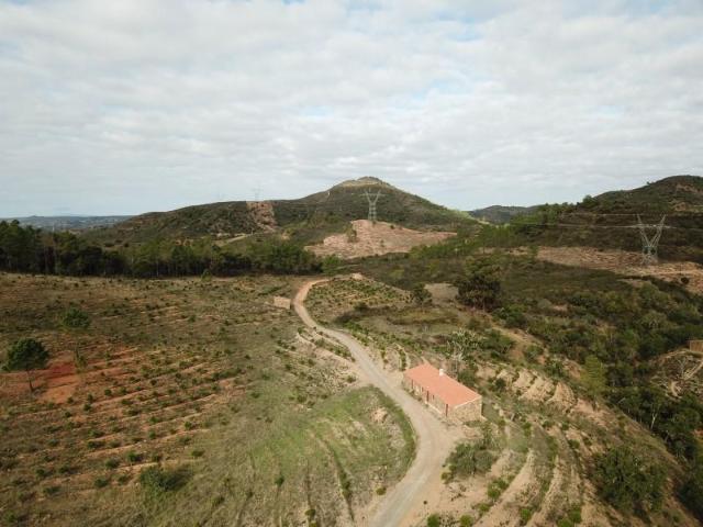 Loulé Loulé 104726713