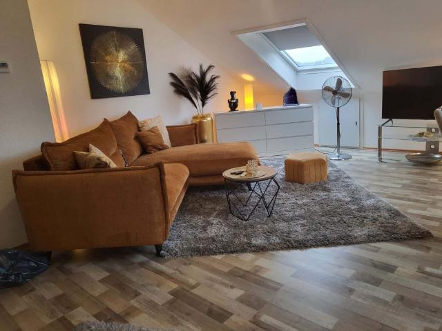 Lounge 4 Single Apartment 50qm, Klima, Parken am Haus, all in