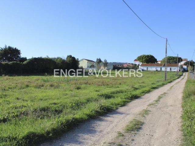 Loures Loures 87044308