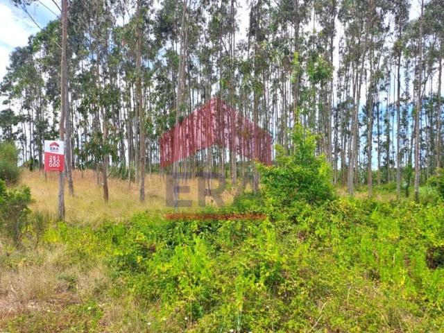Lourinhã Lourinhã 104232175