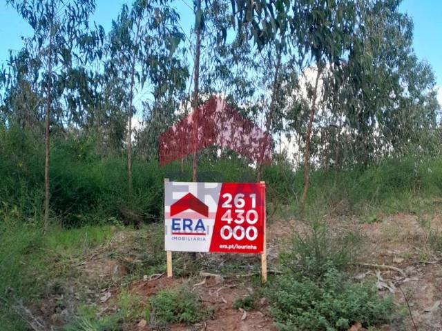 Lourinhã Lourinhã 104903623
