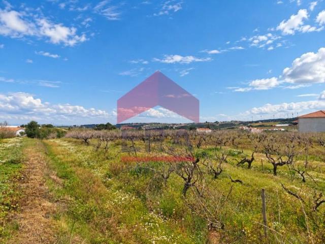Lourinhã Lourinhã 105748105