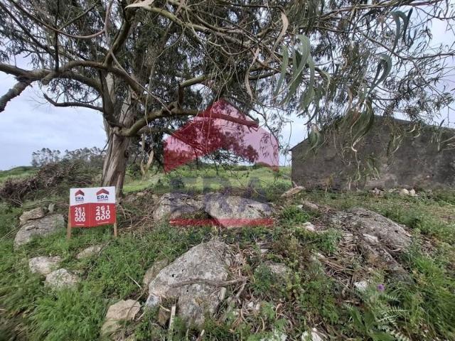 Lourinhã Lourinhã 101564131