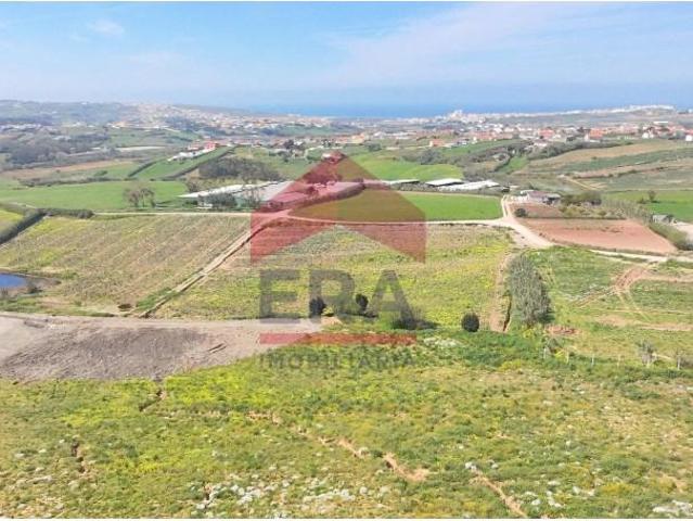 Lourinhã Lourinhã 102074200