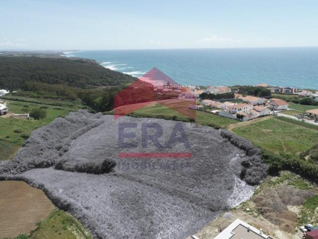 Lourinhã Lourinhã 103592180
