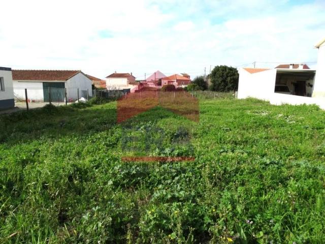 Lourinhã Lourinhã LS87513188