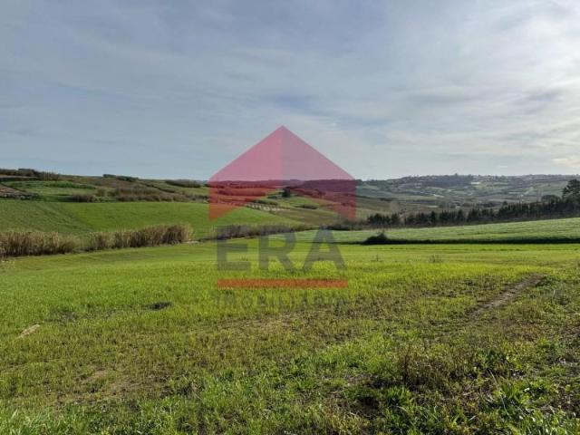 Lourinhã Lourinhã 87522407