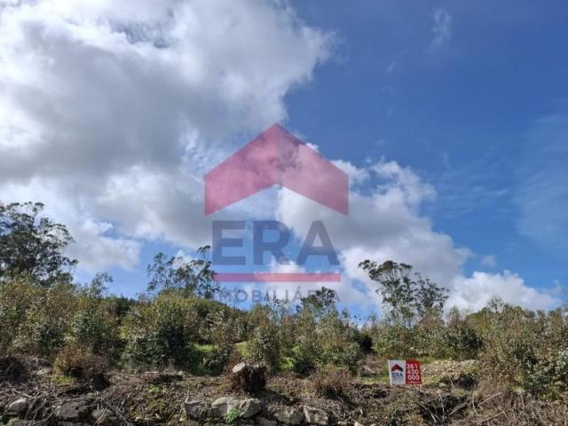 Lourinhã Lourinhã 87772975