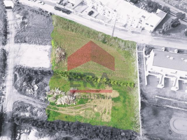 Lourinhã Lourinhã 87772977