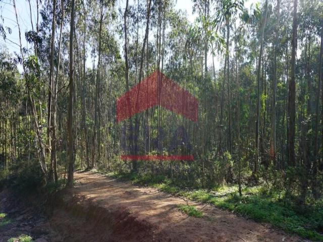 Lourinhã Lourinhã LS97121241