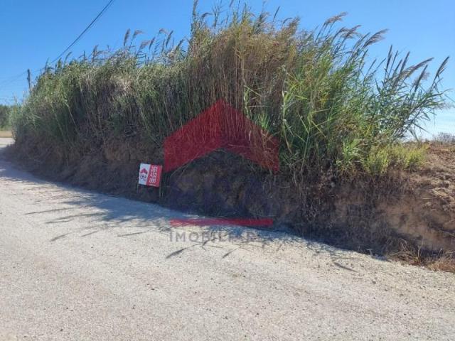 Lourinhã Lourinhã LS98969980