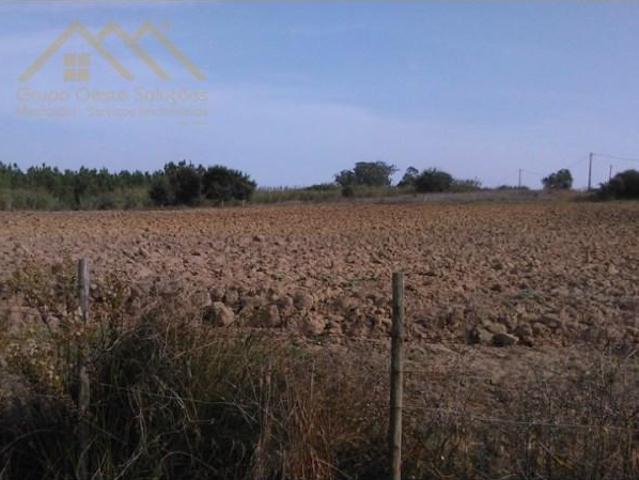 Lourinhã Lourinhã LS99784619