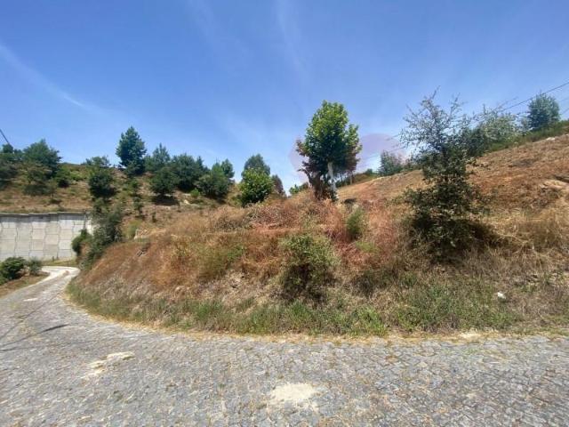 Lousada Lousada 4620 466 102825625