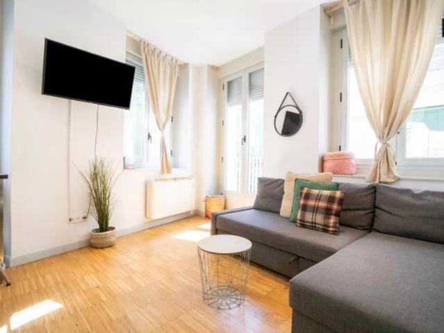 Lovely 1 bedroom apartment for rent in Centro