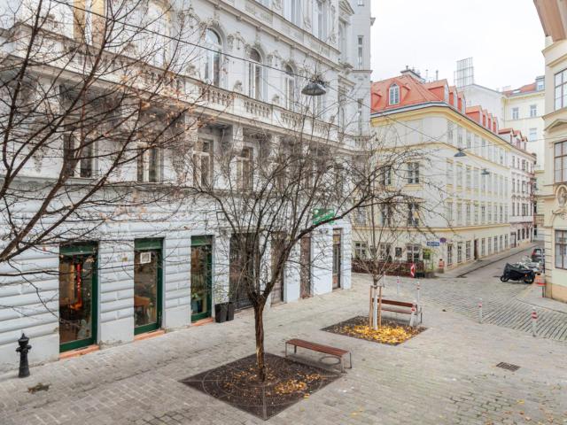 Lovely 1 bedroom flat near the University of Vienna