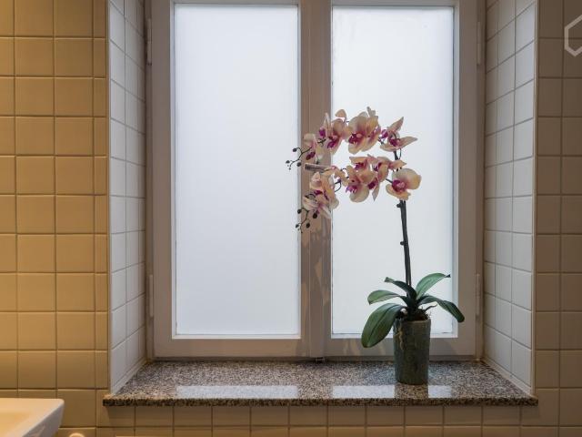 Lovely & charming studio close to Wittenbergplatz/Victoria Louise Platz, Berlin Amsterdam Apartments for Rent