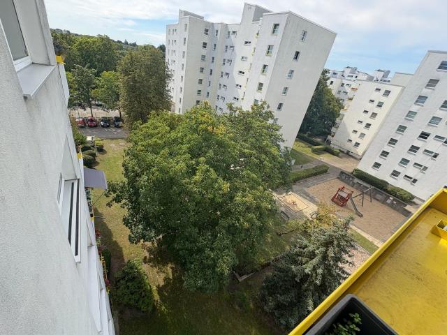 Lovely and neat apartment in Wittenau, Berlin Amsterdam Apartments for Rent