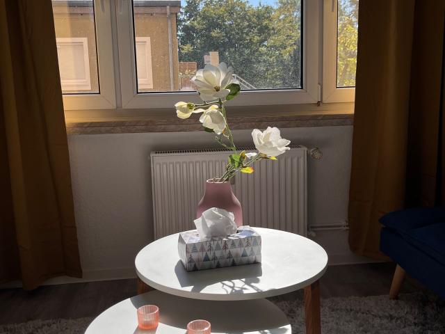Lovely and nice apartment nearly Auenwald, Leipzig Amsterdam Apartments for Rent
