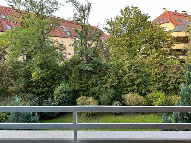 Lovely and amazing studio with swimming pool and park