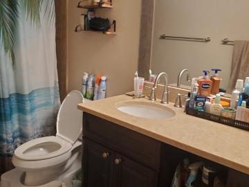 Chantilly, Sully district Fairfax County Virginia, Fairfax County, Virginia, USA