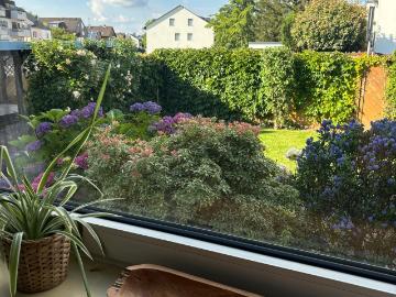 lovely and quiet apartment, good access to Cologne, Leverkusen Amsterdam Apartments for Rent