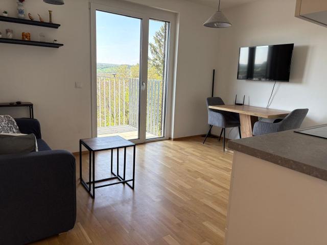 Lovely apartment between city center and Wiener Wald, Vienna Amsterdam Apartments for Rent