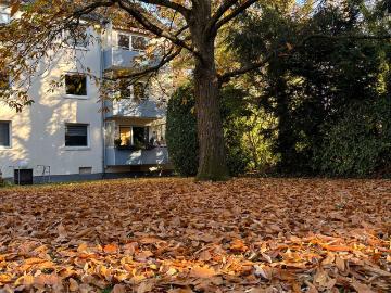 Lovely, beautiful suite located in Düsseldorf Stockum, Dusseldorf Amsterdam Apartments for Rent