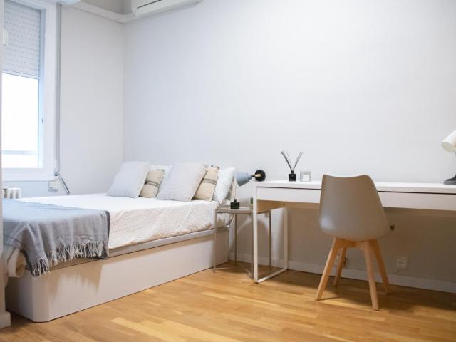 Lovely double bedroom flat near Girona station