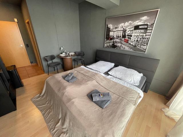 Lovely & fantastic studio apartment in Stuttgart city center, Stuttgart Amsterdam Apartments for Rent