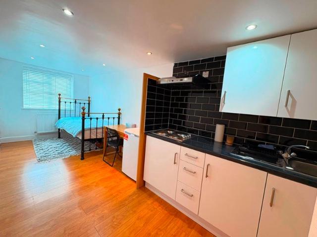 Lovely Flat 30 Min from Central London