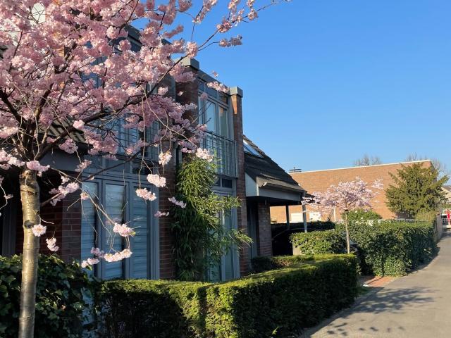 Lovely furnished house in the center of Kaiserswerth within walking distance to ISD