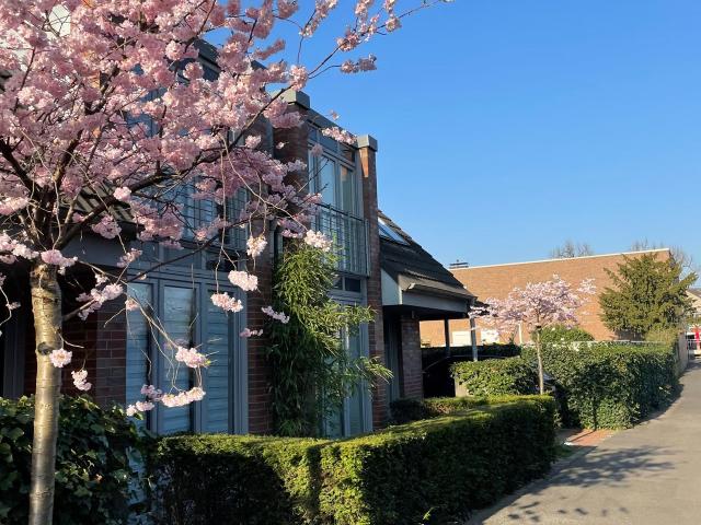 Lovely furnished house in the center of Kaiserswerth within walking distance to ISD, Dusseldorf Amsterdam Apartments for Rent