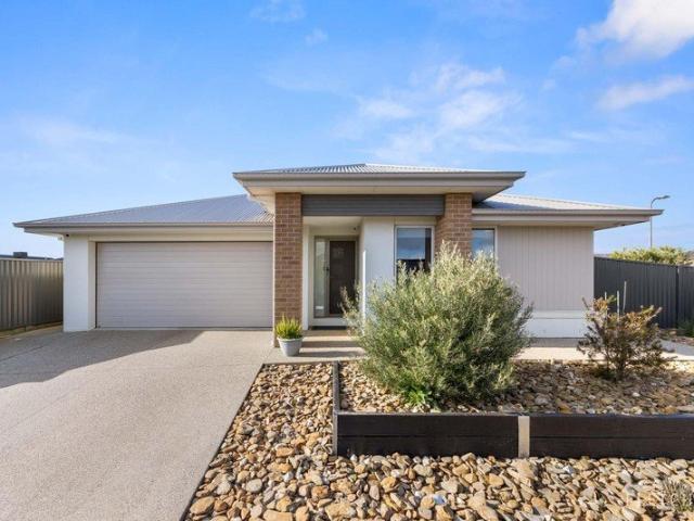 Lovely Home, a Thoughtfully Planned Property with Great Sheds