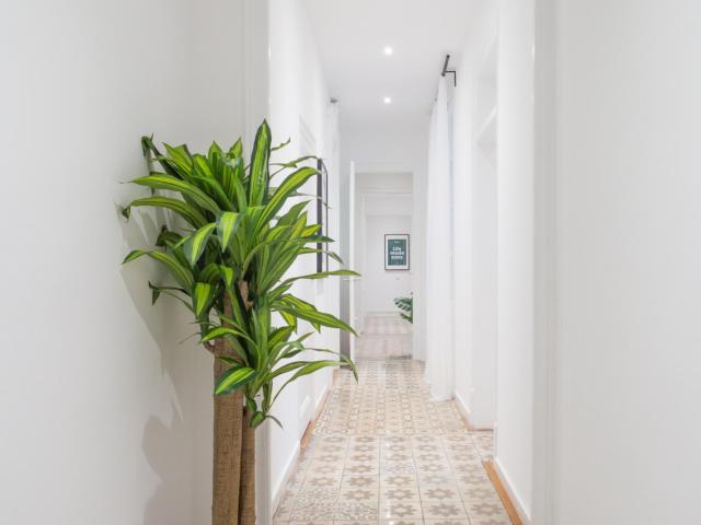 Lovely single bedroom in a welcoming shared flat in the vicinity of La Rambla