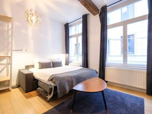 Lovely studio 2 steps from Grand Place