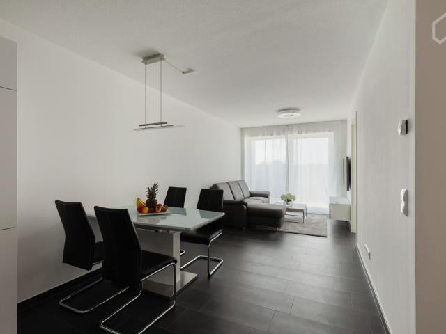 Lovely suite in Frankfurt am Main
