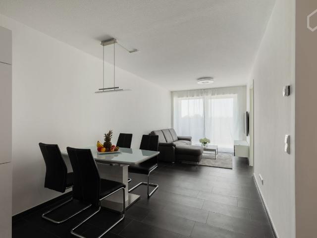 Lovely suite in Frankfurt am Main, Frankfurt Amsterdam Apartments for Rent