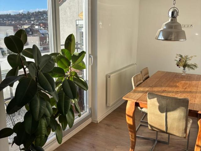 Lovely Penthouse in Stuttgart West