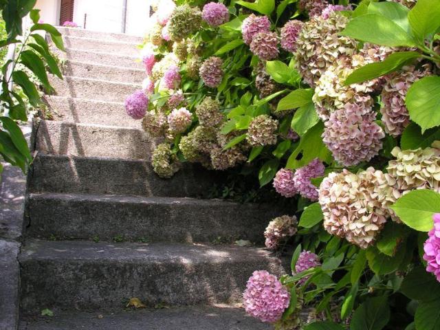 Lovere, Lago d'Iseo Bellissima villa in stile liberty con. 310m² Lovere