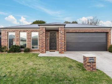 Low Maintenance Living in Quiet Sebastopol Setting