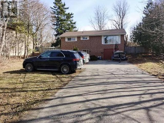 Lower 1052 Elgin Street, Newmarket, ON, L3Y 3C1 house for lease | Listing ID N13009 | Royal LePage