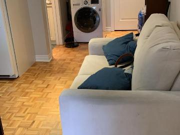 Lower 149 Cedric Avenue in Toronto: Oakwood Village House for lease Toronto C03: MLS®# C12973556