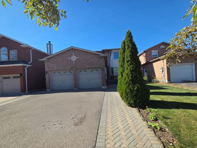 Lower Level Property