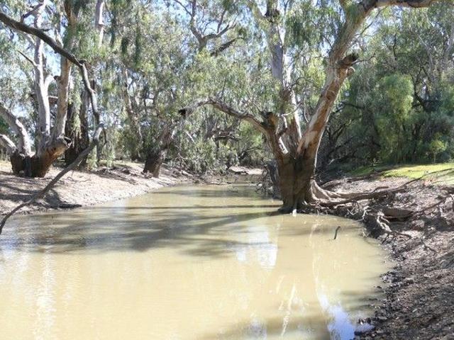 Lower Macquarie Grazing Country