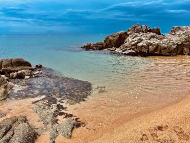 Piso de alquiler en Avinguda de Fenals, 10, Santa Clotilde, Lloret de Mar