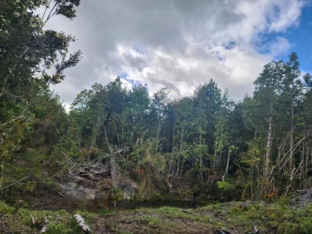 LLANQUIHUE TROMPETILLA HIJUELA LOTE 16 B