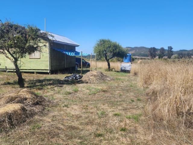 LLICO BOYERUCA COMUNA DE VICHUQUEN