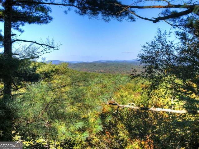 LT 123 Bell Camp Ridge Road