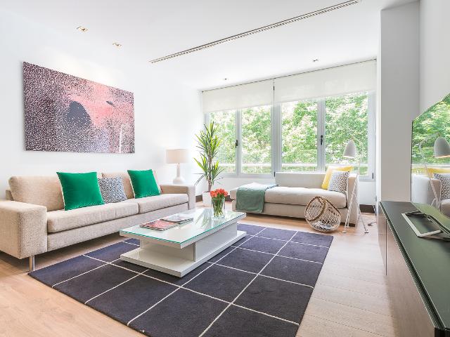 Luminous Apartment in the Charmartín Neighbourhood