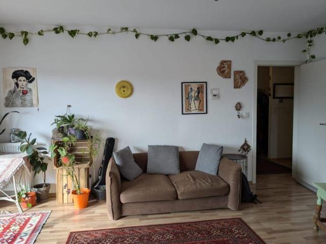 Luminous comfortable appartement in calm residential area